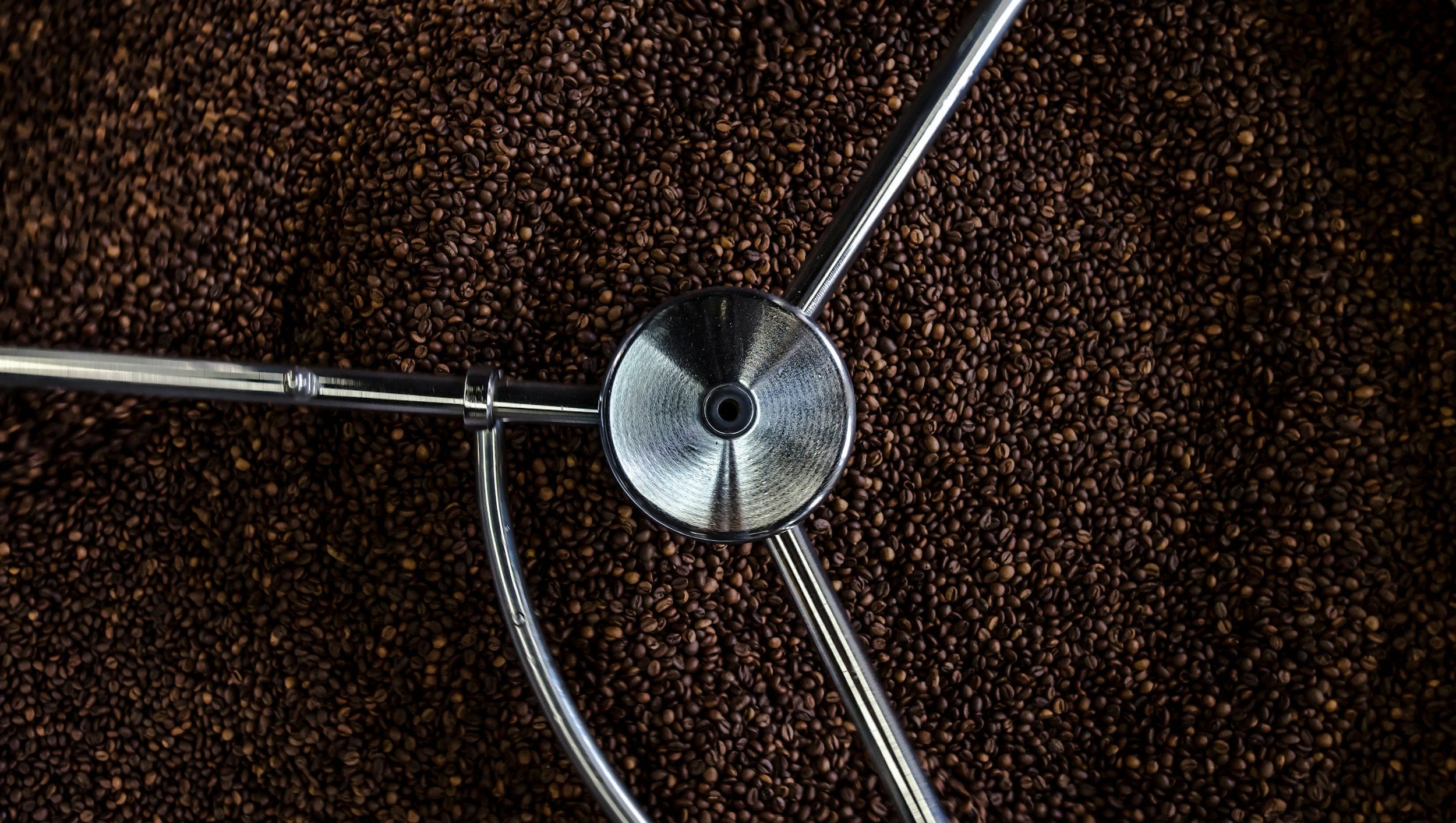 first light roasters peruvian number one coffee
